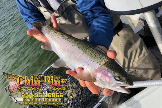 Chillbilly Charters Logo and Rainbow Trout