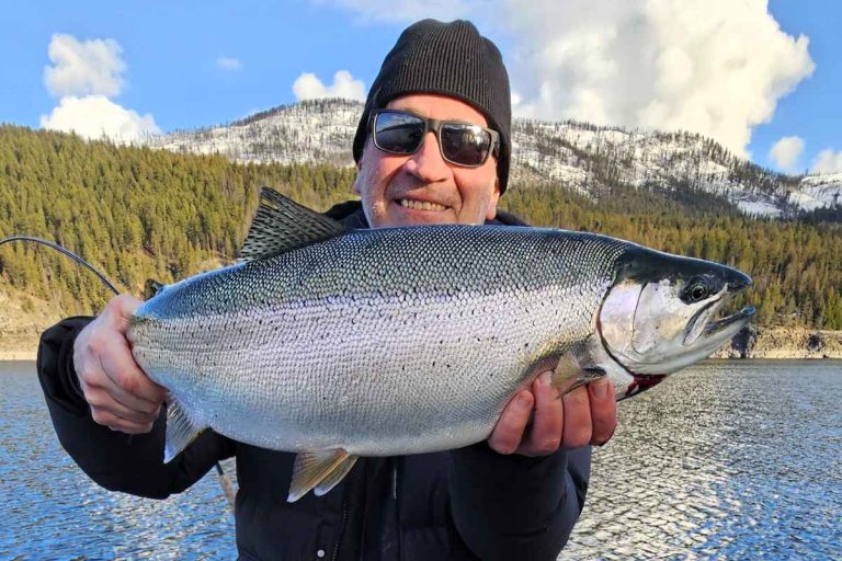 Arrow Lake Rainbow