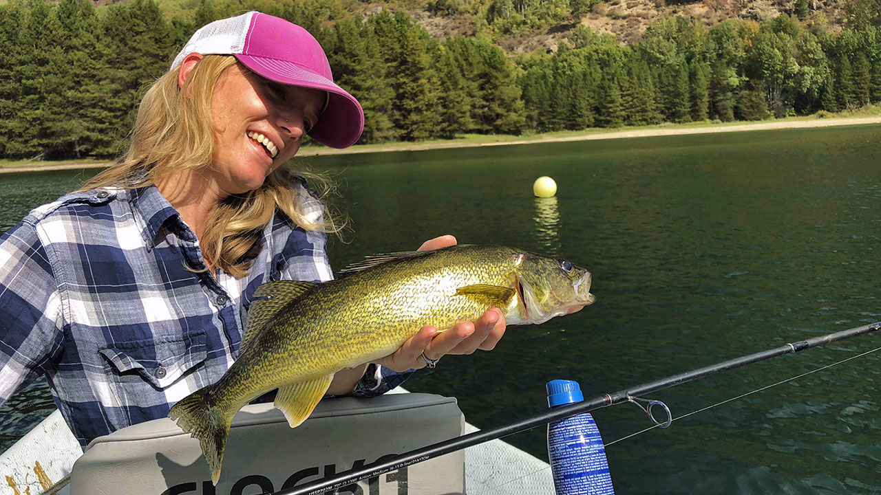 Chillbilly Sport Fishing Charters - Client Walleye