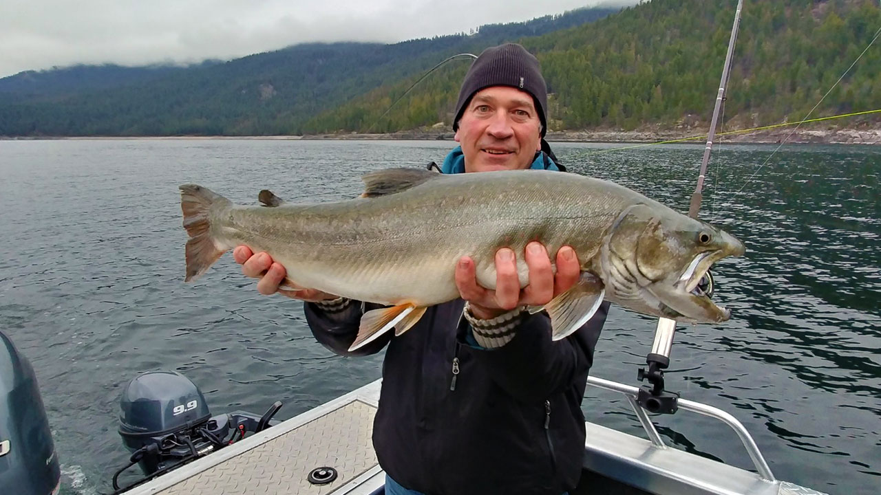 Columbia River Bull Trout - 5