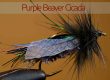 Purple Beaver Cicada