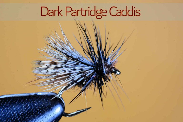WSF Dark Partridge Caddis