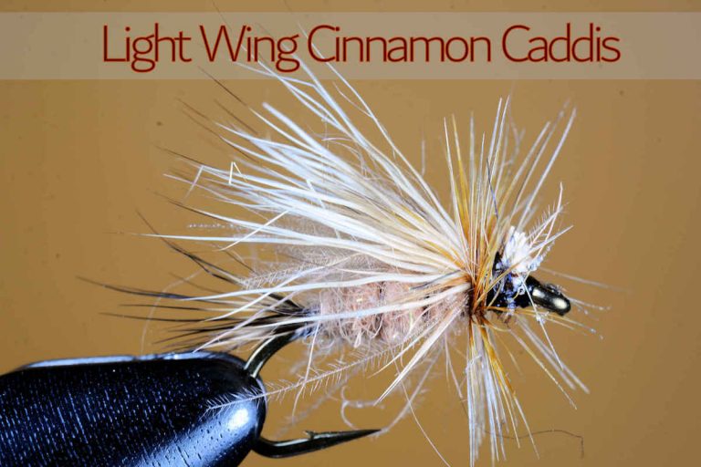 Light Wing Cinnamon Caddis