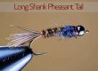 Long Shank Pheasant Tail