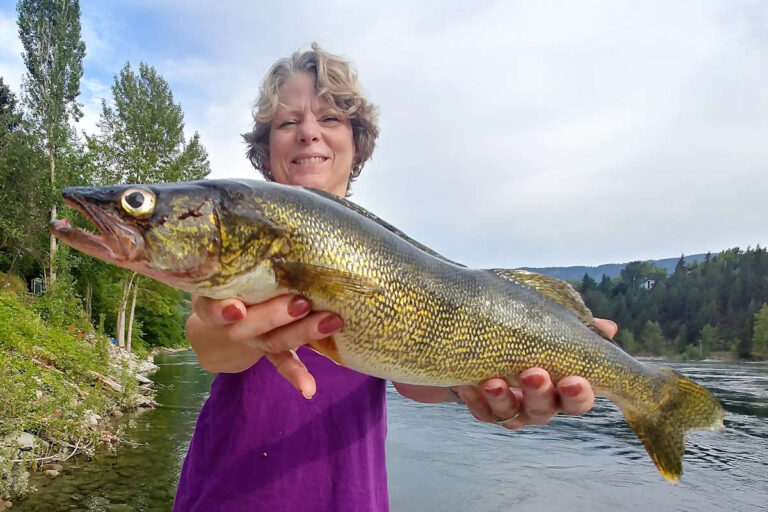 Walleye on the Fly